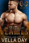 [Hidden Realms of Silver Lake 04] • Destiny in Flames · A Hot Paranormal Dragon Shifter Saga (Hidden Realms of Silver Lake Book 4)